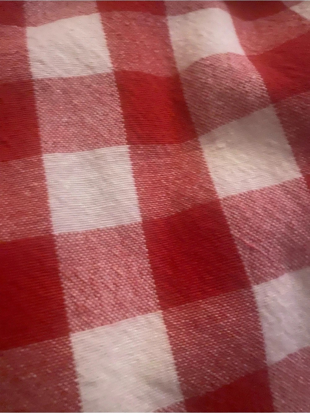 Red & White Checkered Picnic blanket